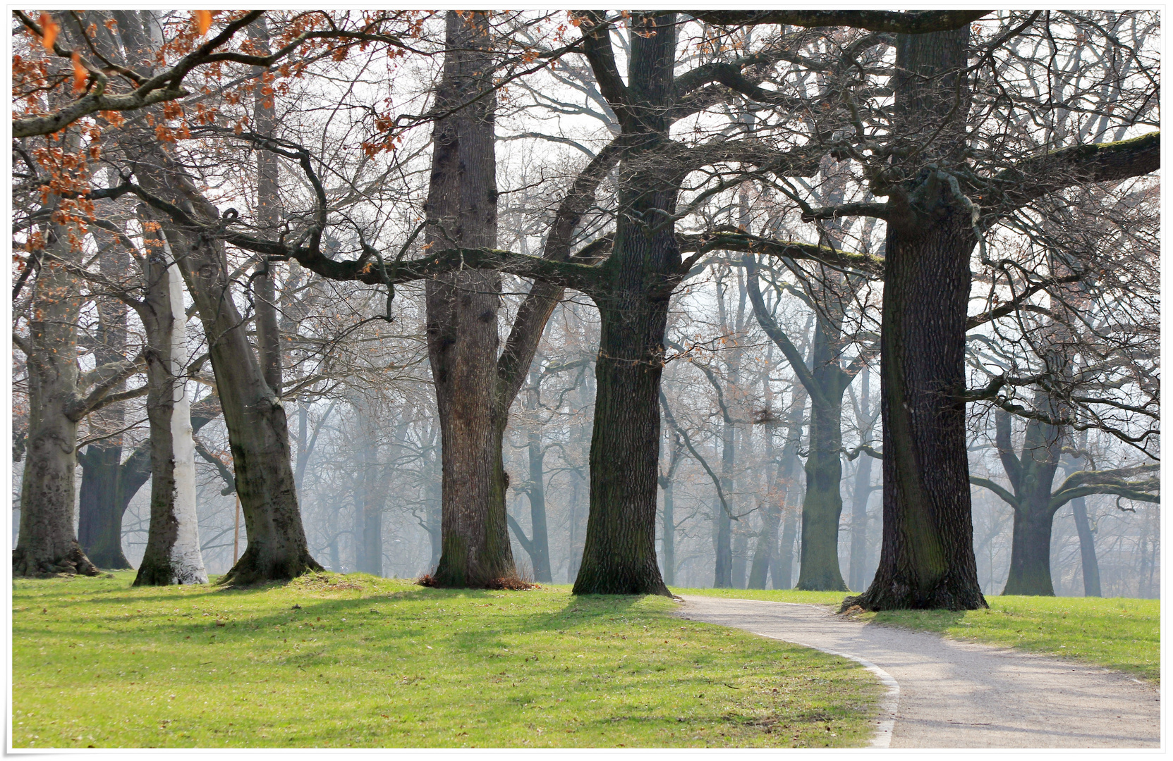 Weg durch den Park