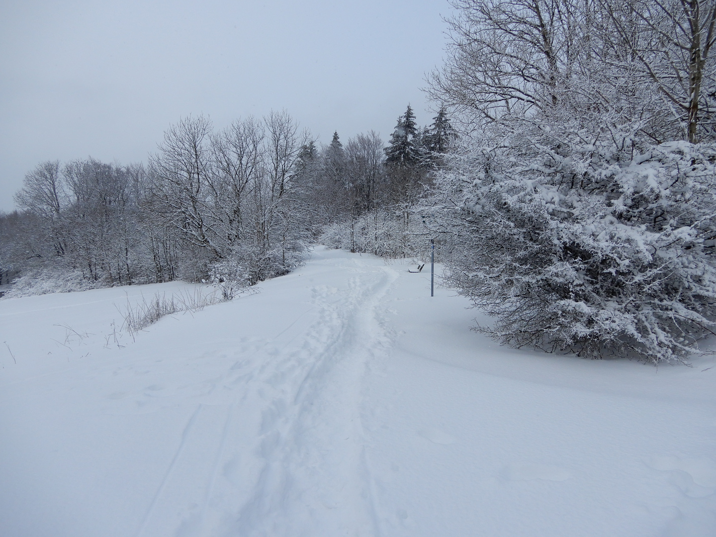 Weg durch den Schnee