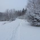 Weg durch den Schnee