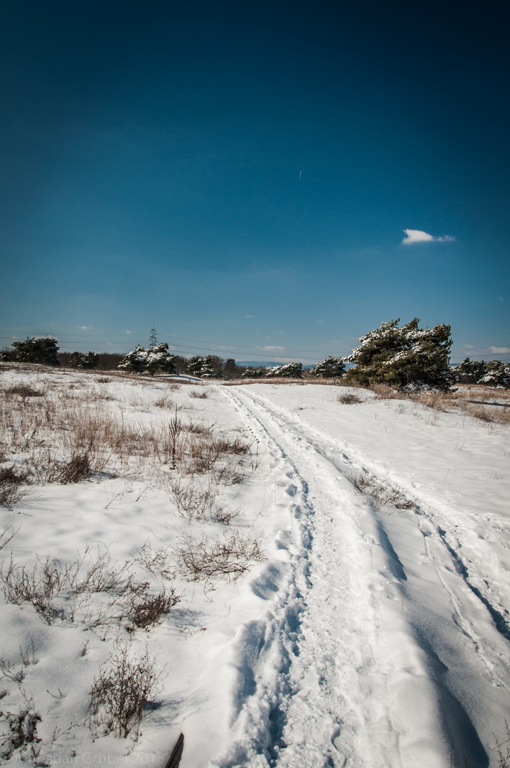 Weg durch den Schnee