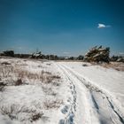 Weg durch den Schnee