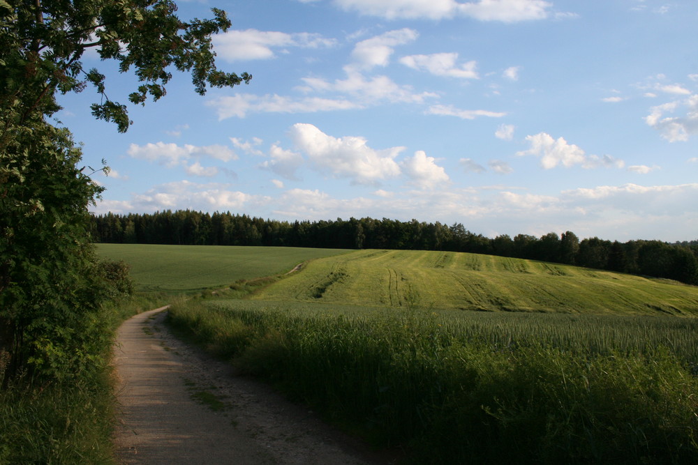 Weg durch den Sommerabend