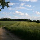 Weg durch den Sommerabend