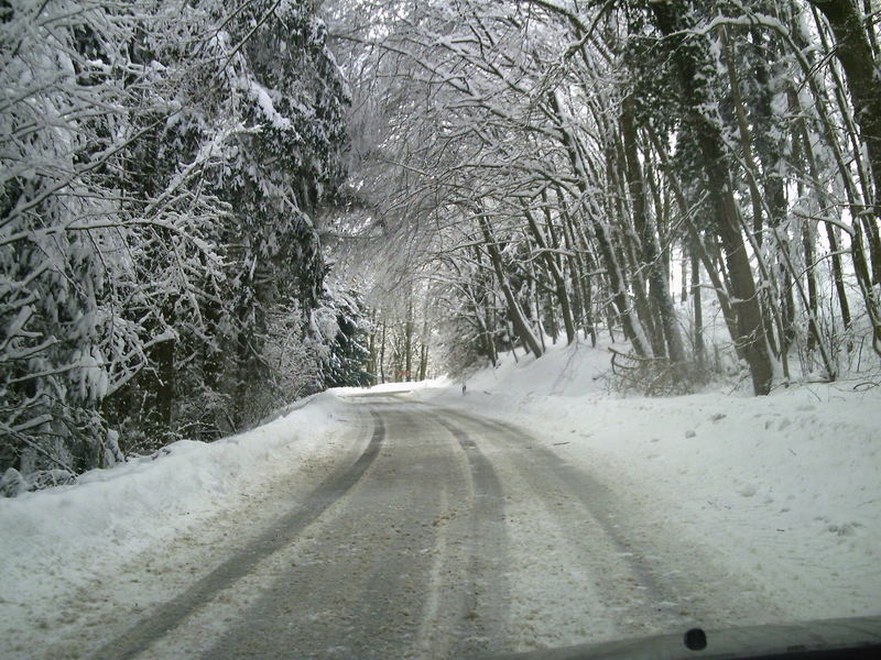 Weg durch den verschneiten Wald