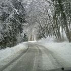 Weg durch den verschneiten Wald