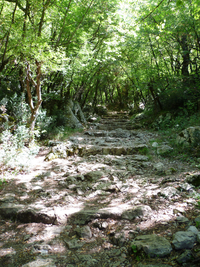 Weg durch den Wald zu Kloster Ostrog