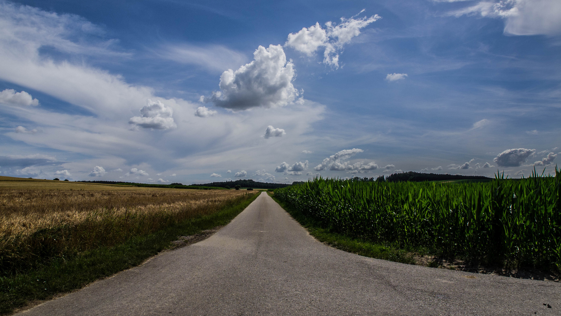 Weg durch die Felder