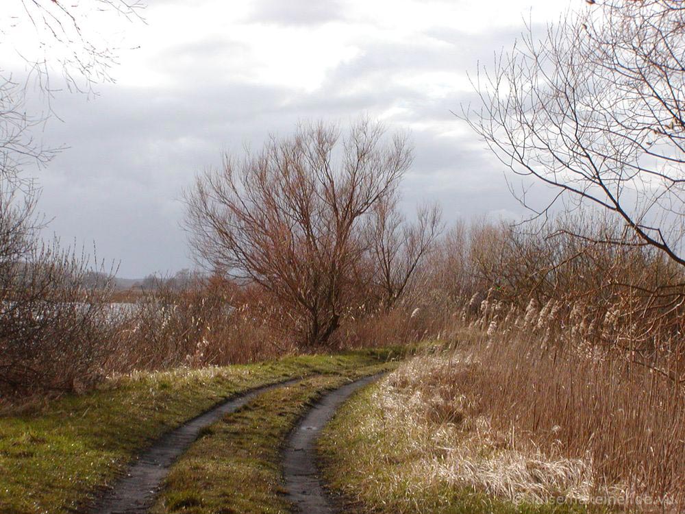 Weg durch die Felder