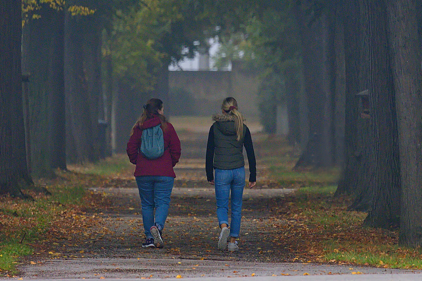 Weg durch die herbstliche Allee