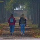 Weg durch die herbstliche Allee