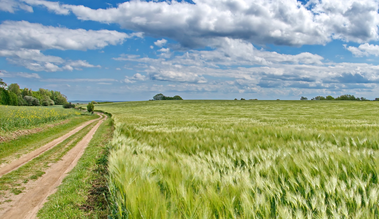 Weg durch die Landschaft