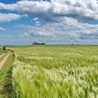 Weg durch die Landschaft