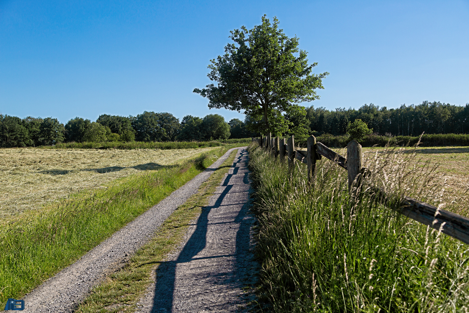 Weg durch die Ried