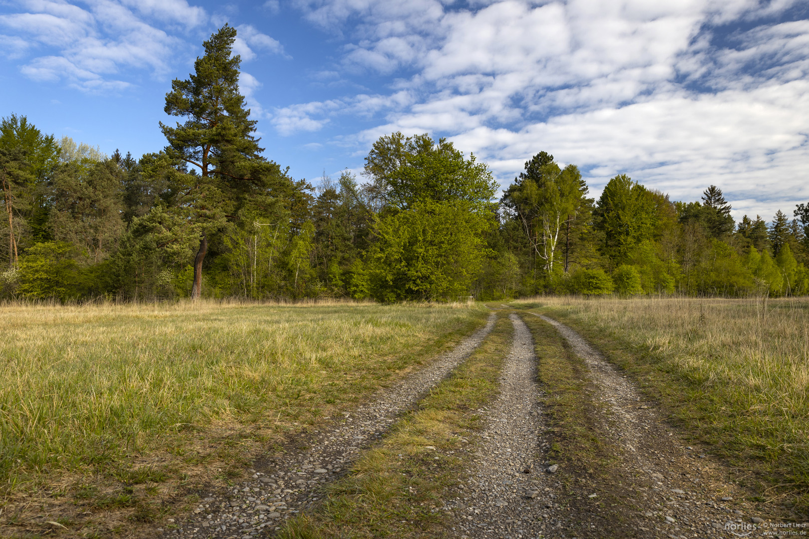 Weg durch die Schießplatzheide