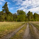 Weg durch die Schießplatzheide