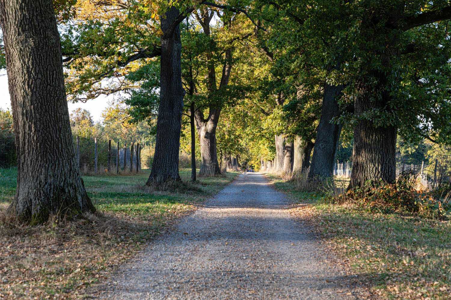 Weg durch eine