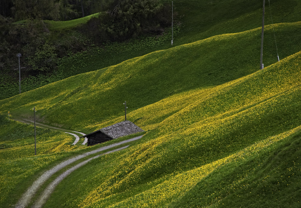 Weg durch Frühling...