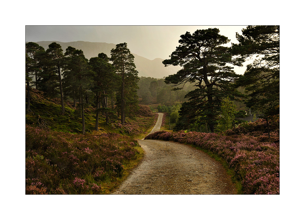 Weg durch Glenn Affric