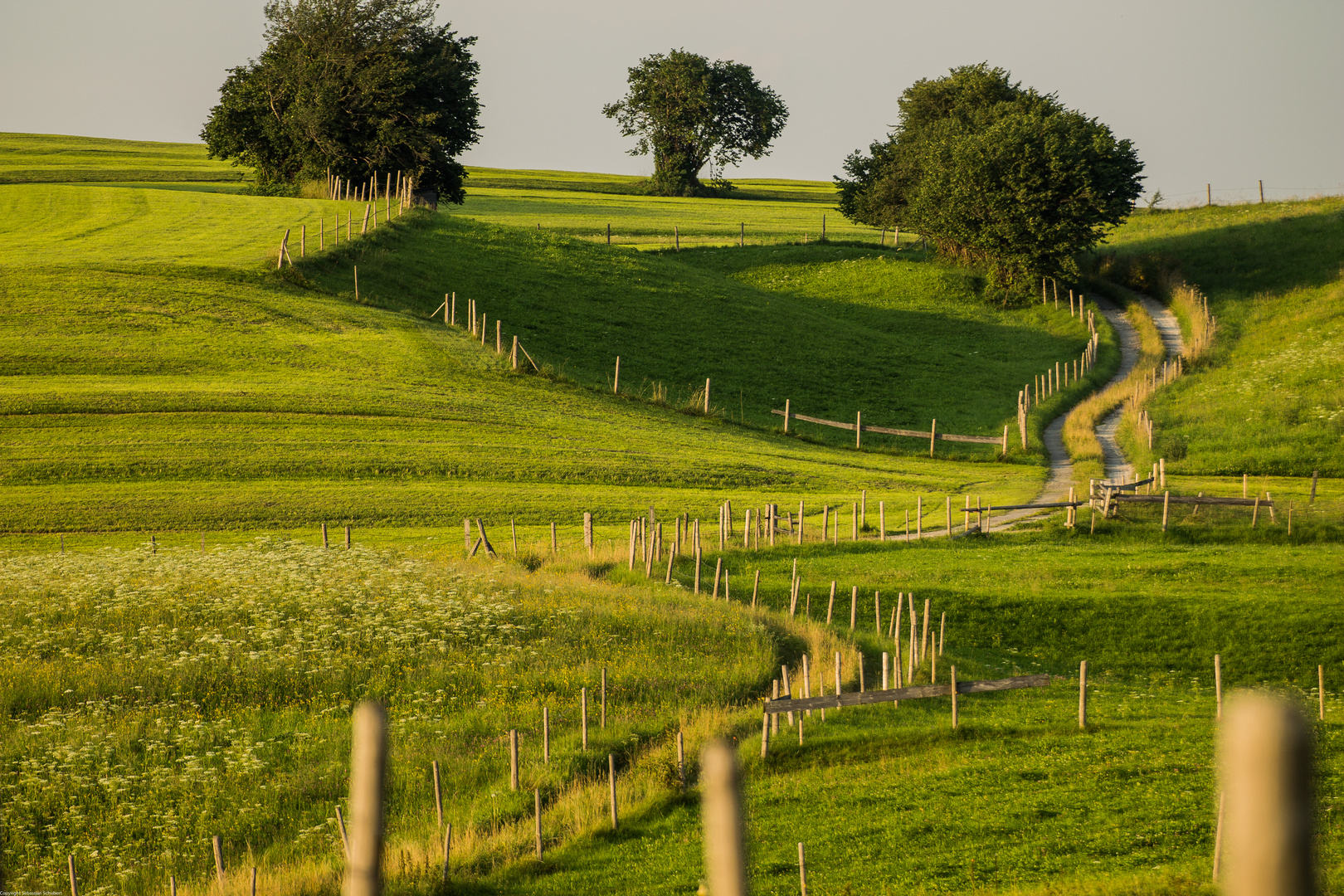 Weg durchs Allgäu