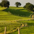 Weg durchs Allgäu