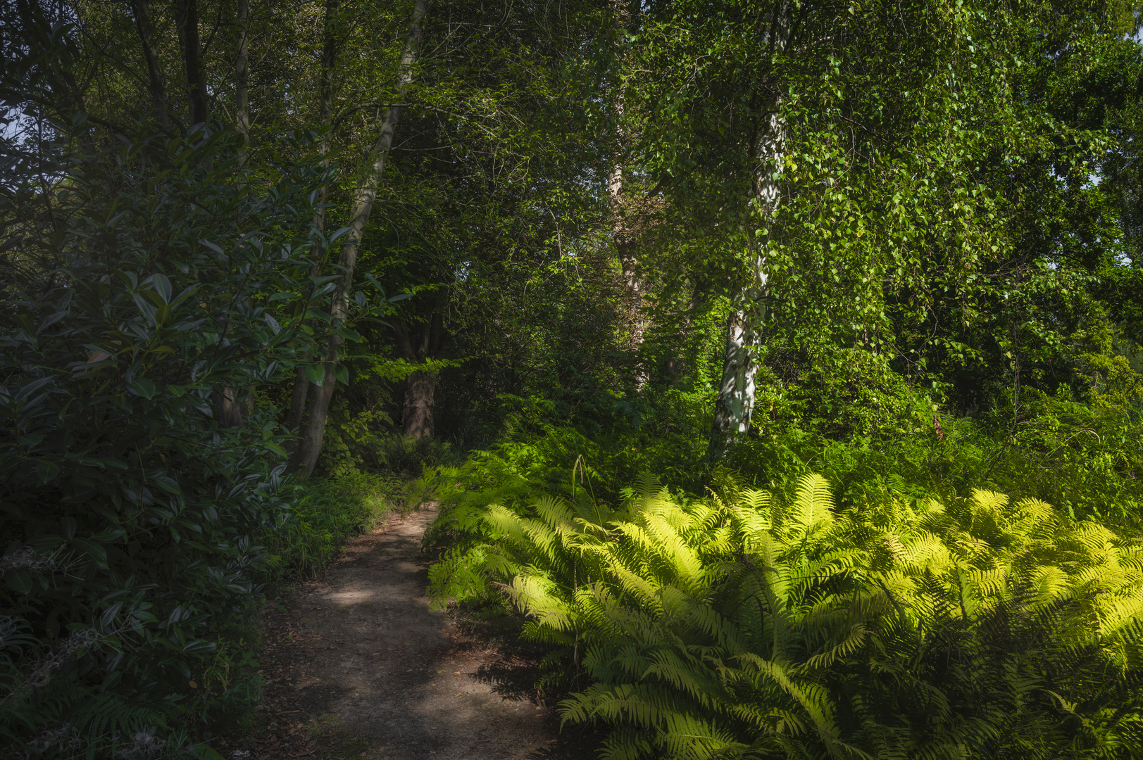 Weg durchs Grün