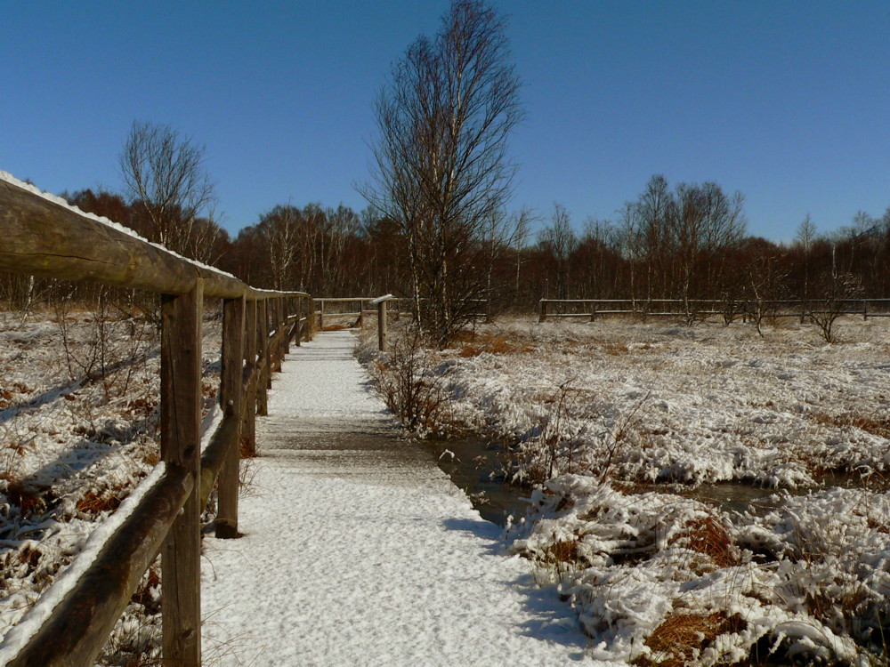 Weg durchs Moor