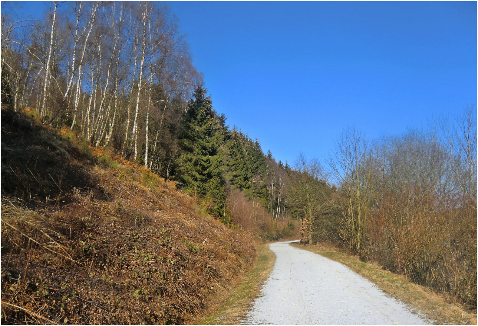 Weg entlang der Wuppertalsperre in der Nähe von Radevormwald