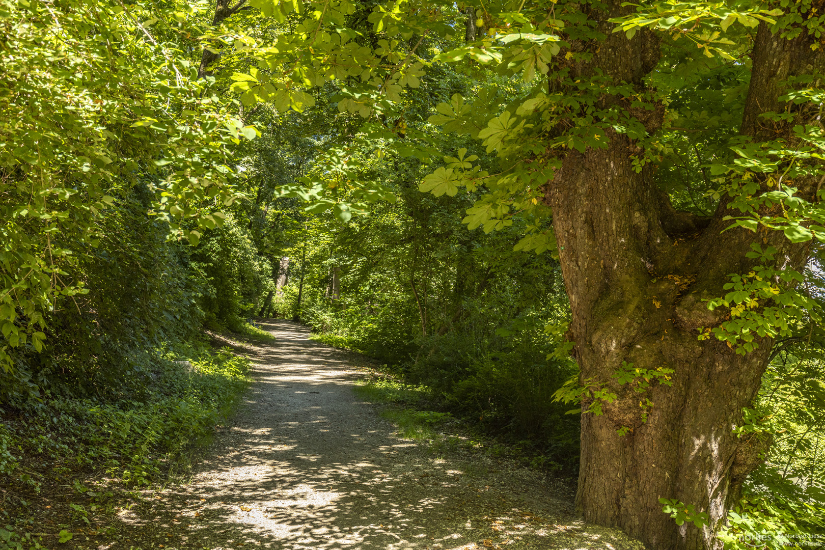 Weg entlang des Stadtgrabens