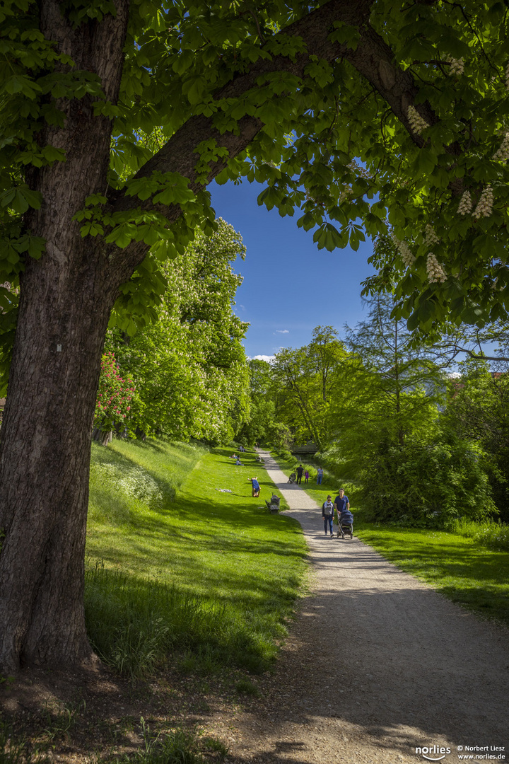 Weg entlang des Stadtgrabens