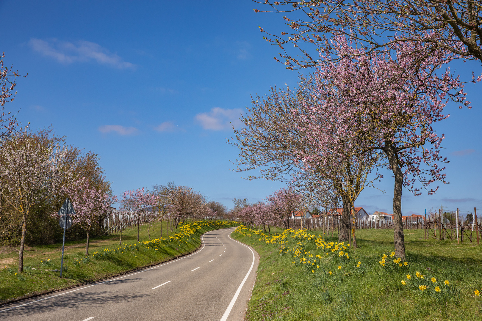 Weg frei für den Frühling