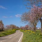 Weg frei für den Frühling