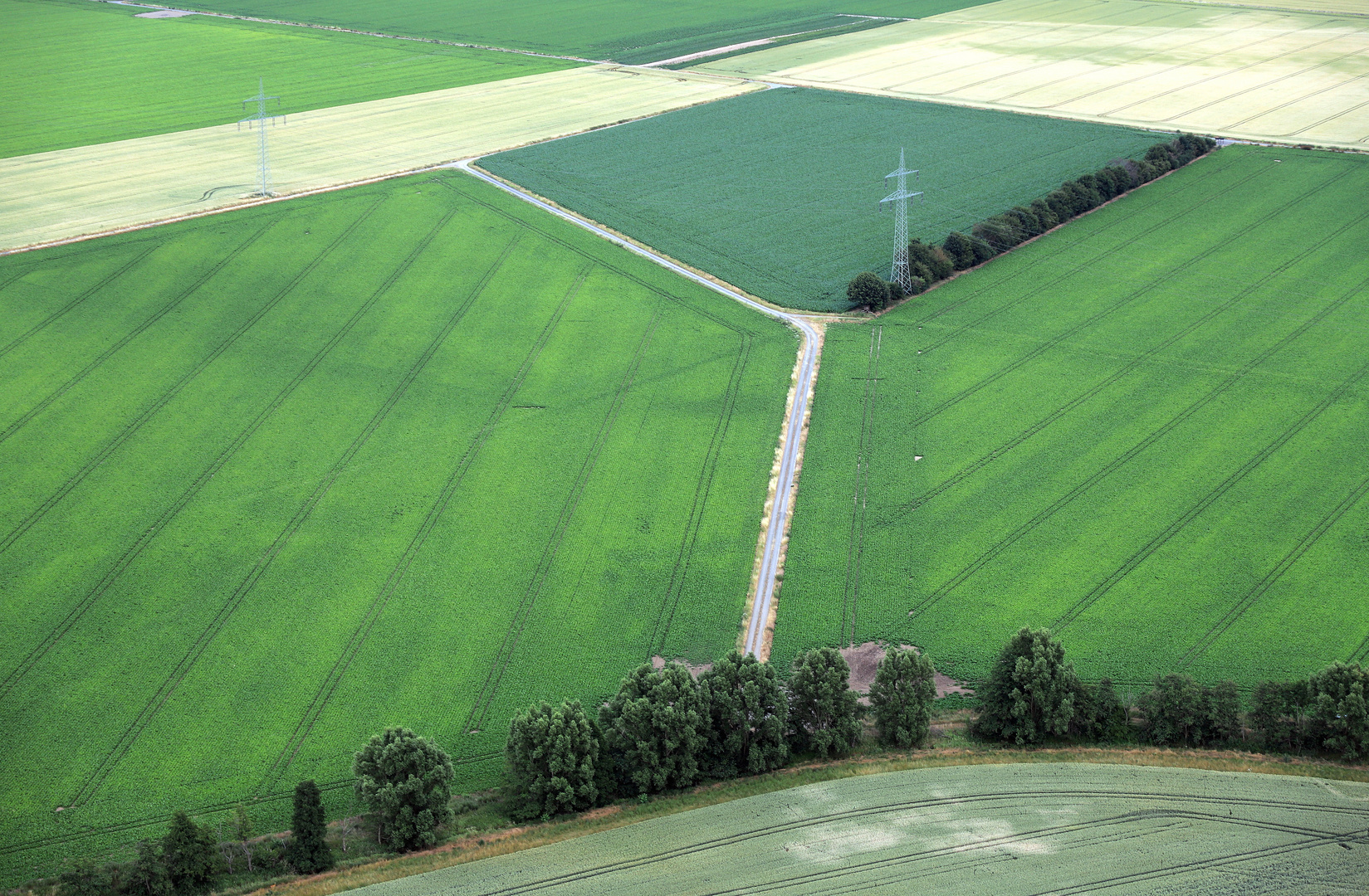 weg gabelung