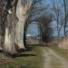 Weg, ganz am Rand (ein Jahr später)