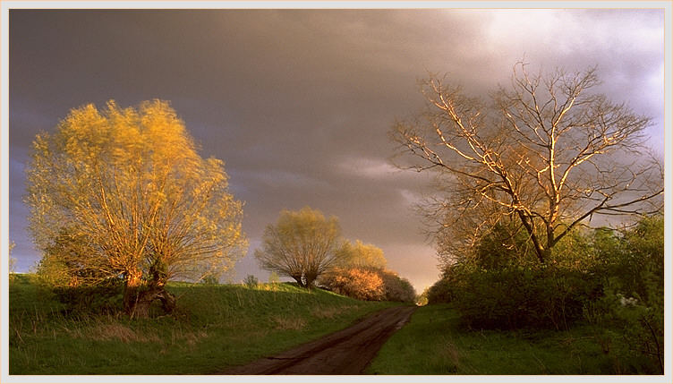 Weg im Abendlicht