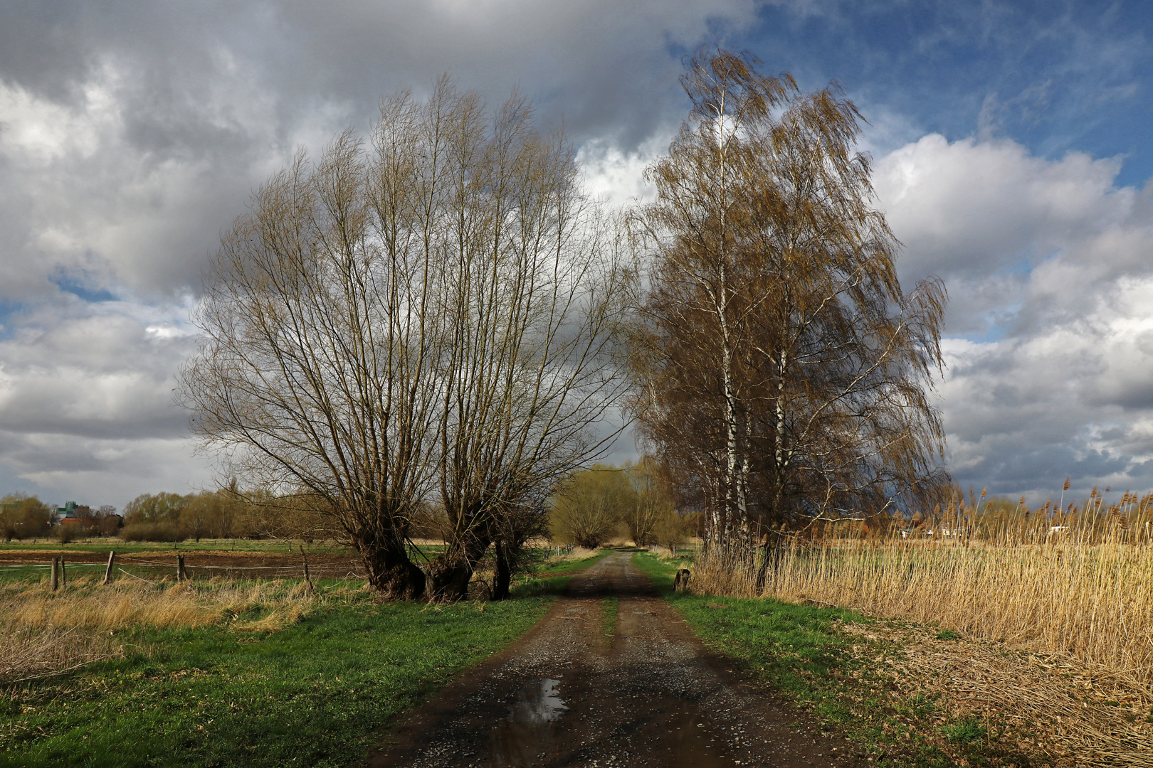 Weg im April