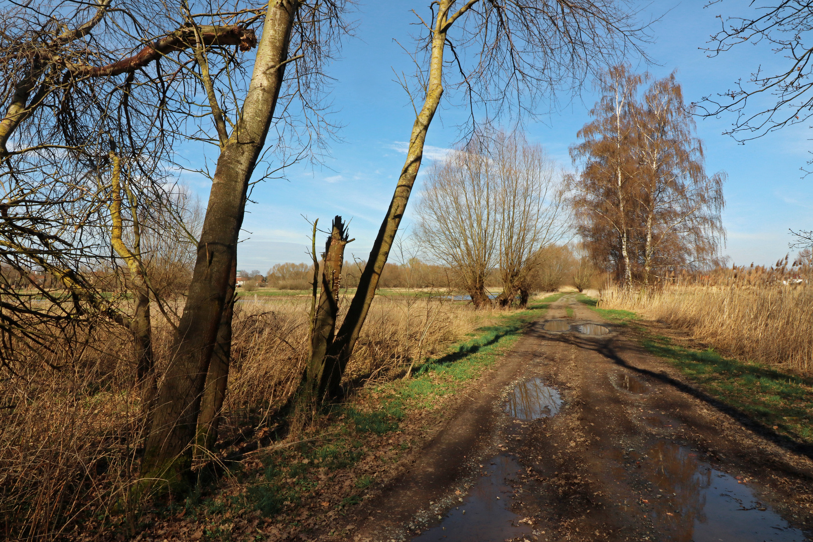 Weg im Frühling