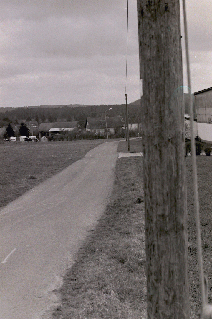 Weg im Frühling