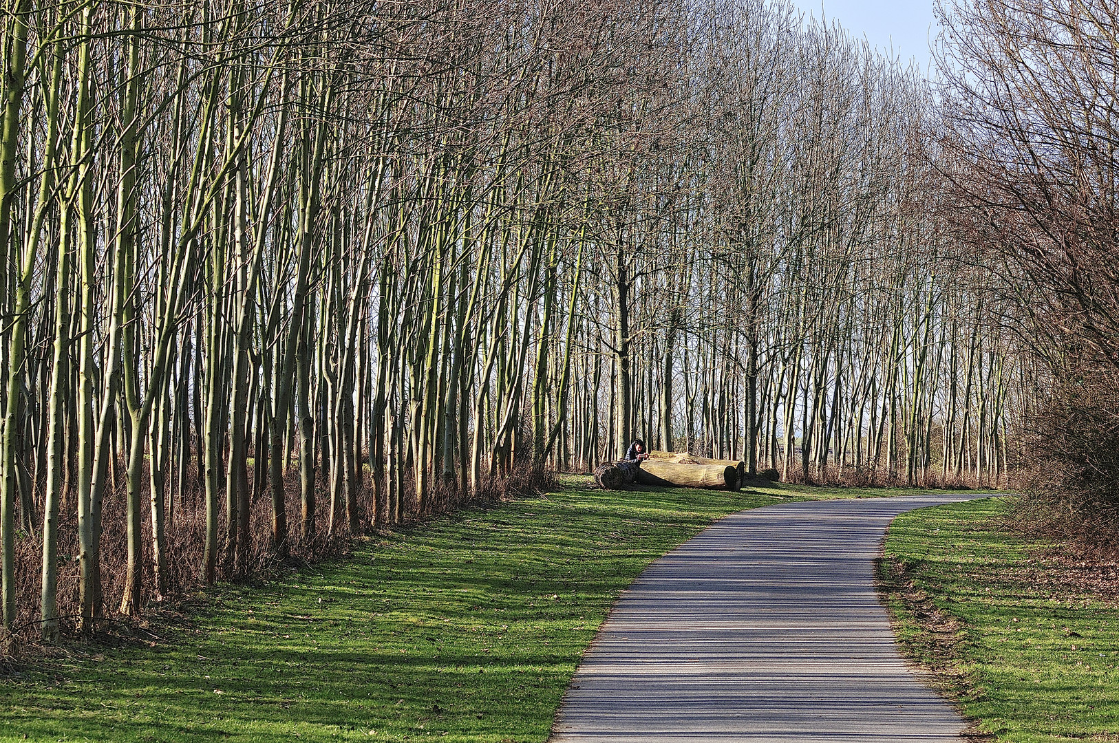 Weg im Frühling