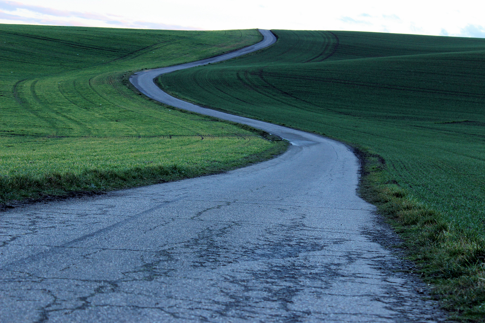 Weg im Grün....