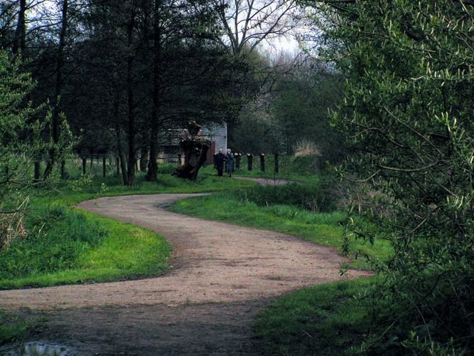 Weg im Grünen