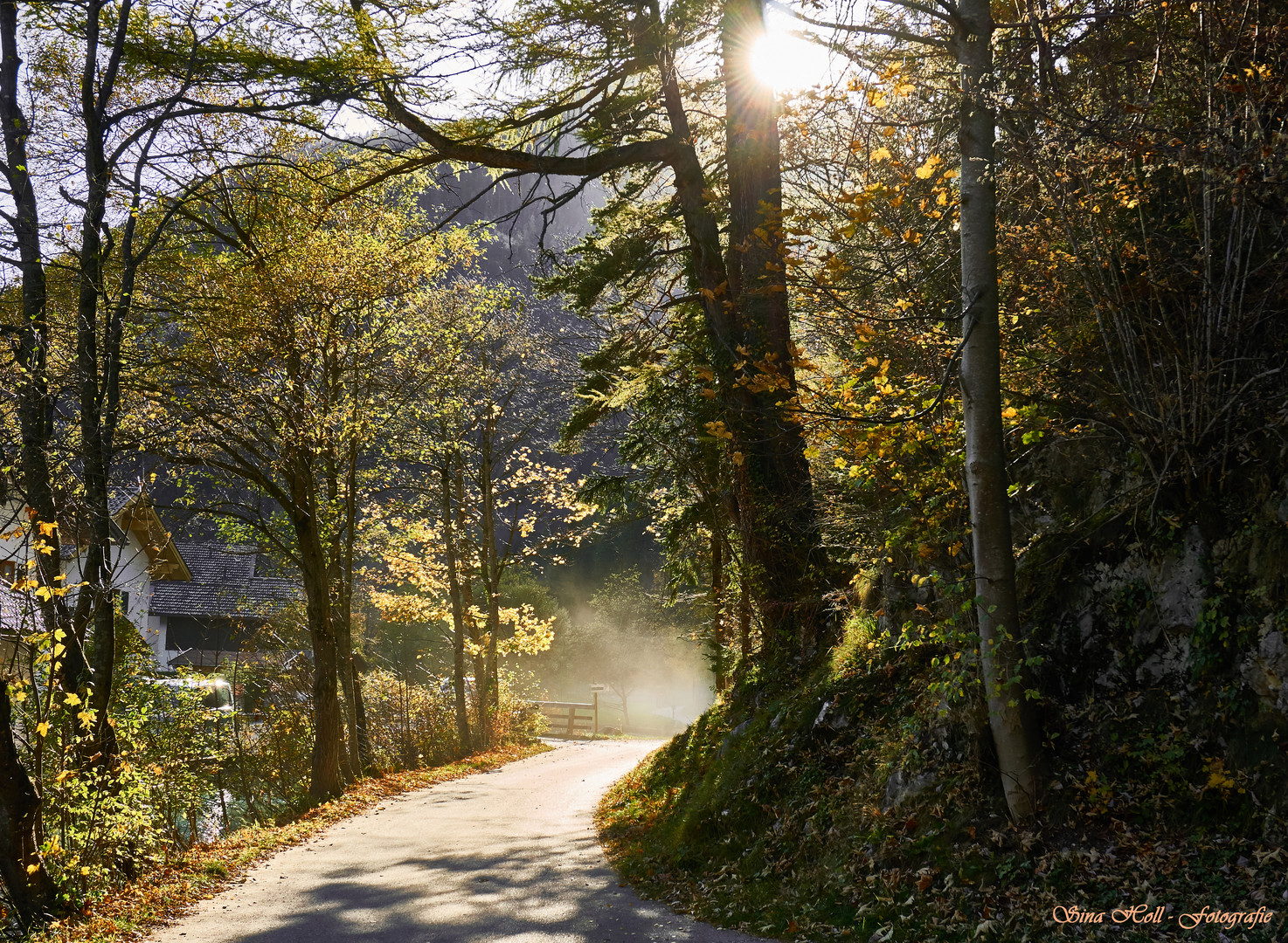 Weg im Herbstlicht