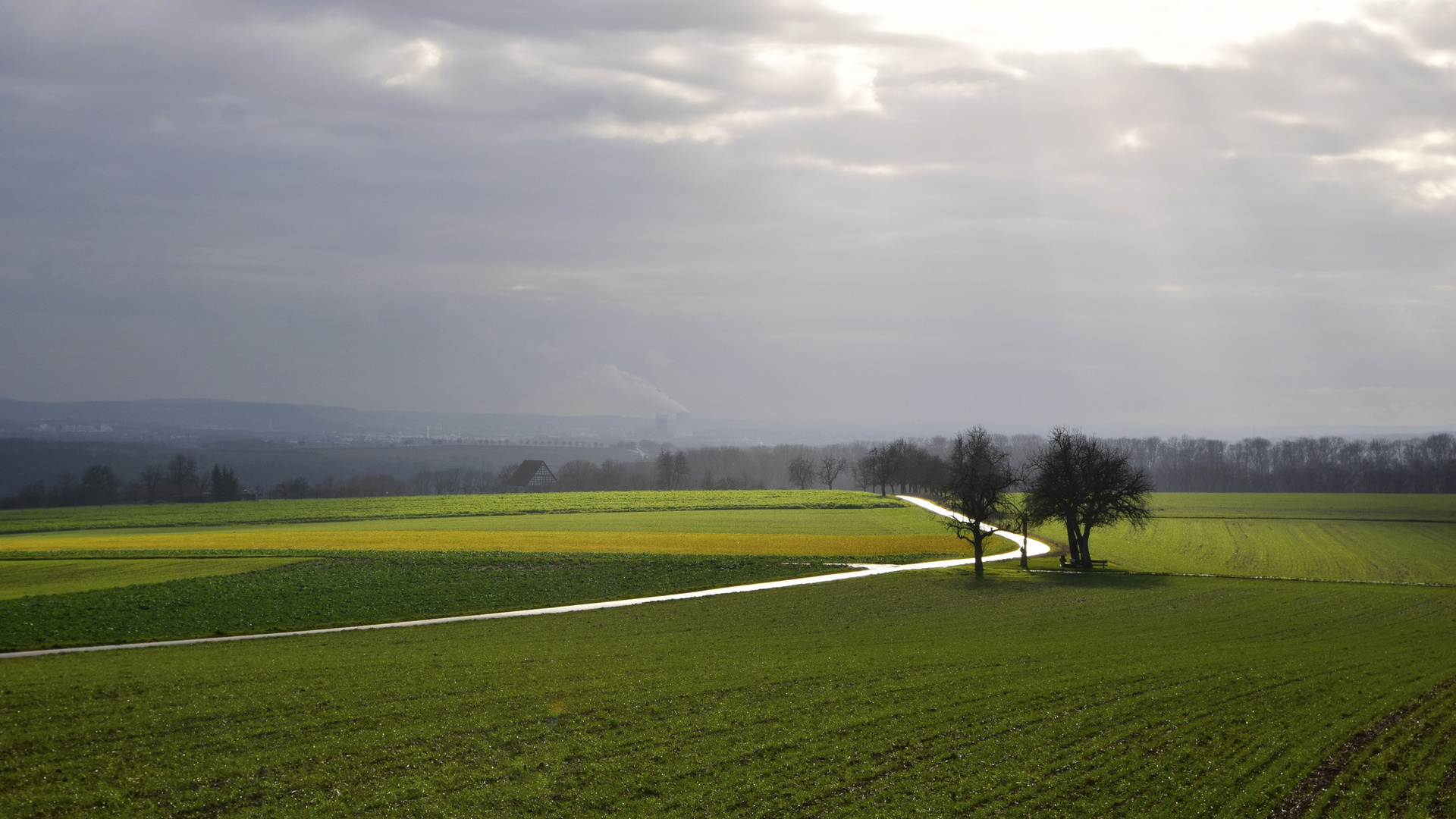 Weg im Licht