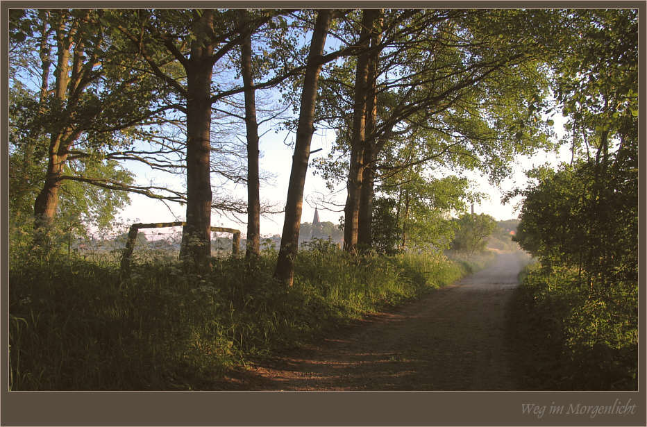 Weg im Morgenblicht im Barnim/Brandenburg