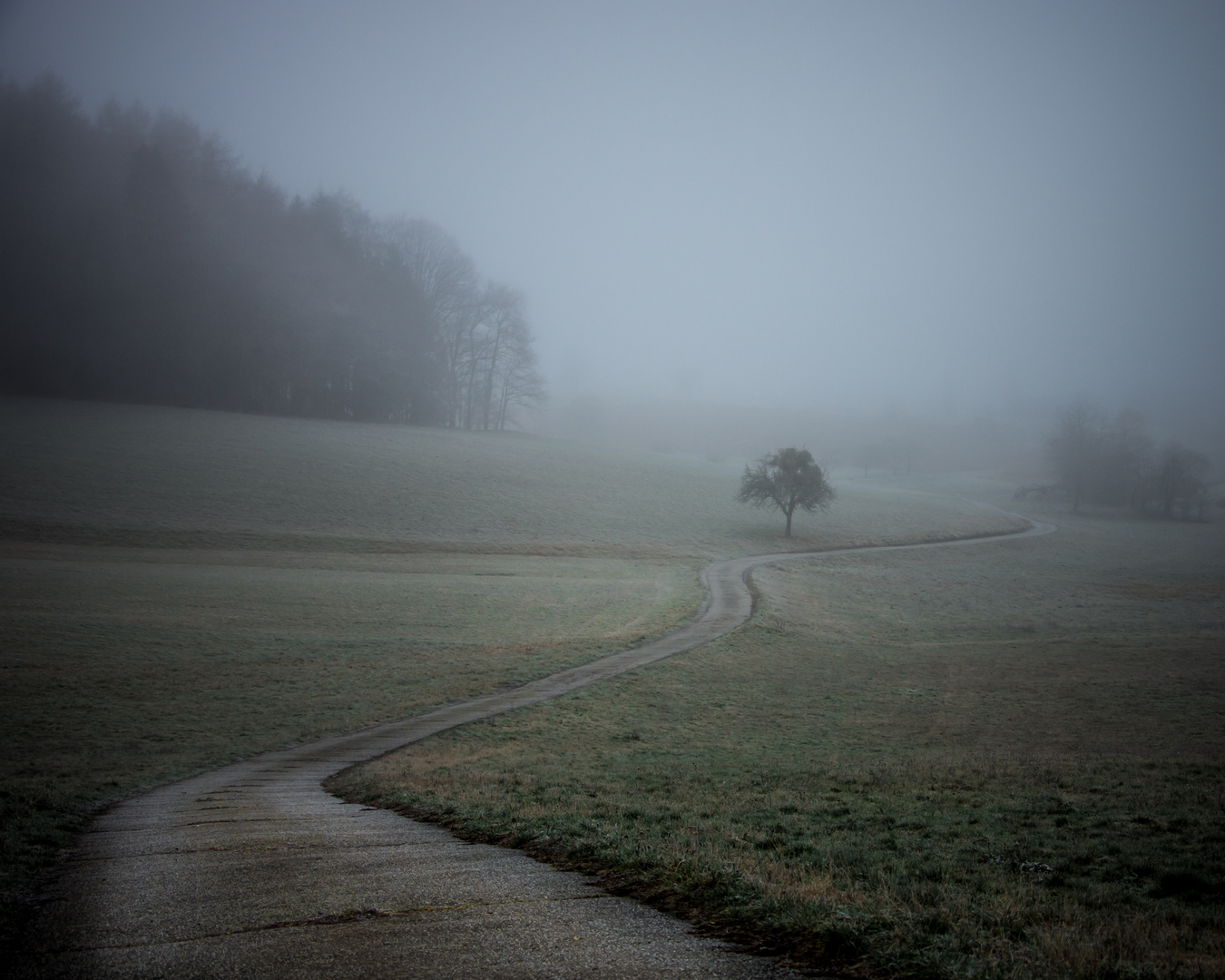 Weg im Nebel