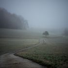 Weg im Nebel