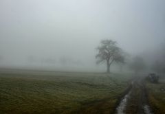 Weg im Nebel