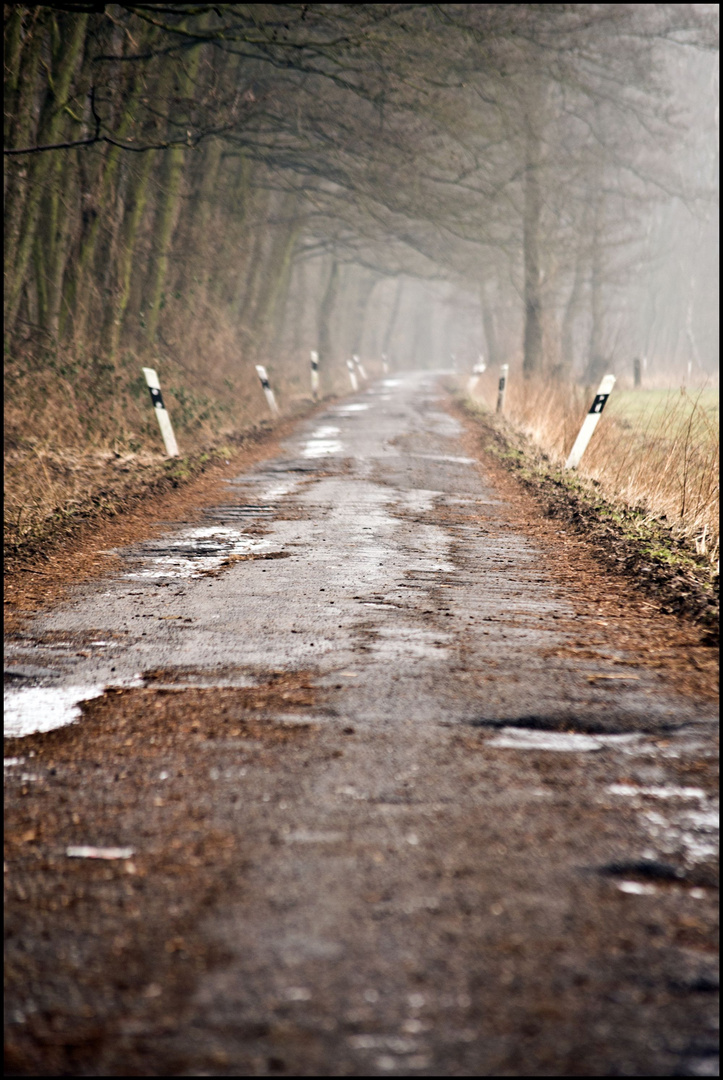 Weg im Nebel