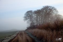 Weg im Nebel