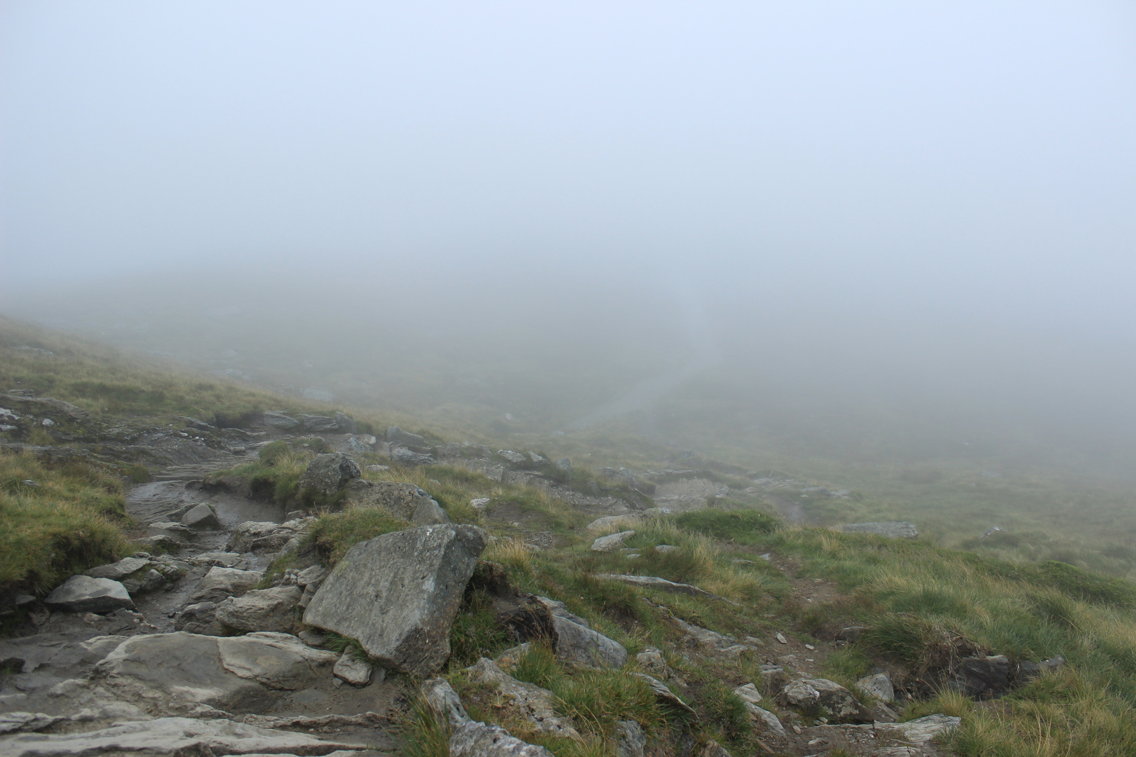 Weg im Nebel