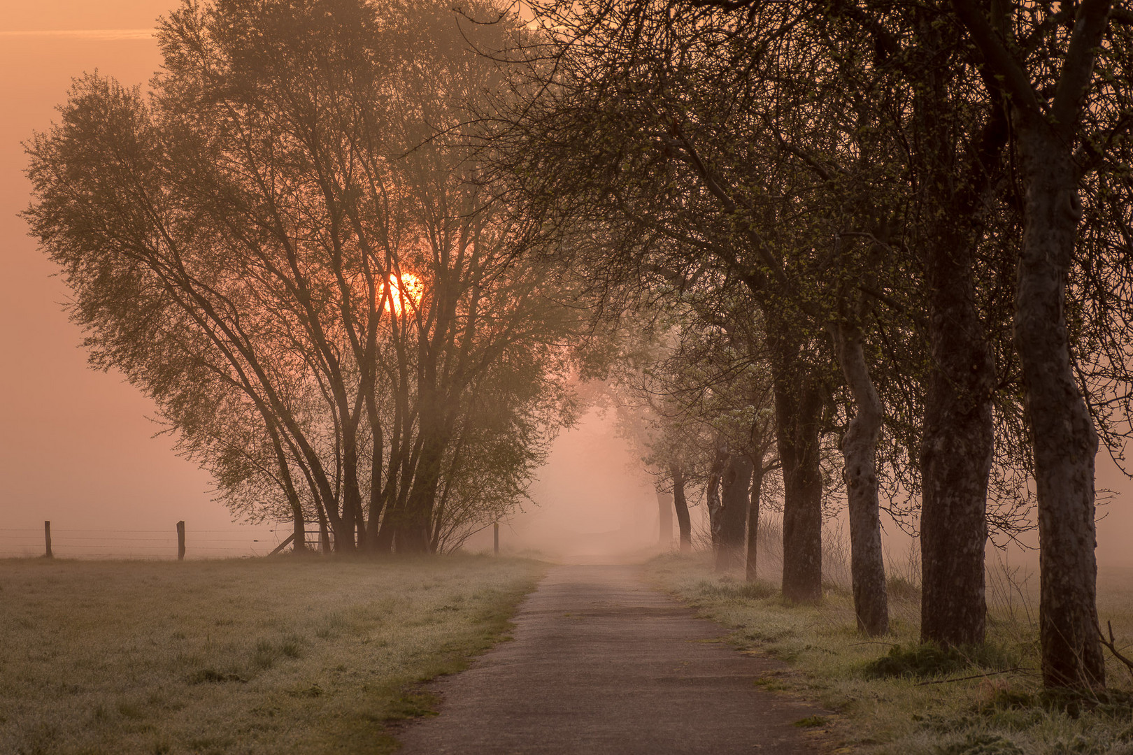 Weg im Nebel